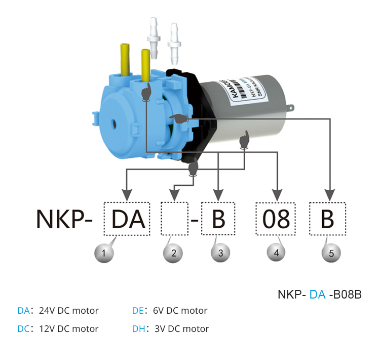 2026년형 NKP 6V 12V 24V DC 모터 컬러 - Nutrition & Fitness Hub 리뷰 및 가격