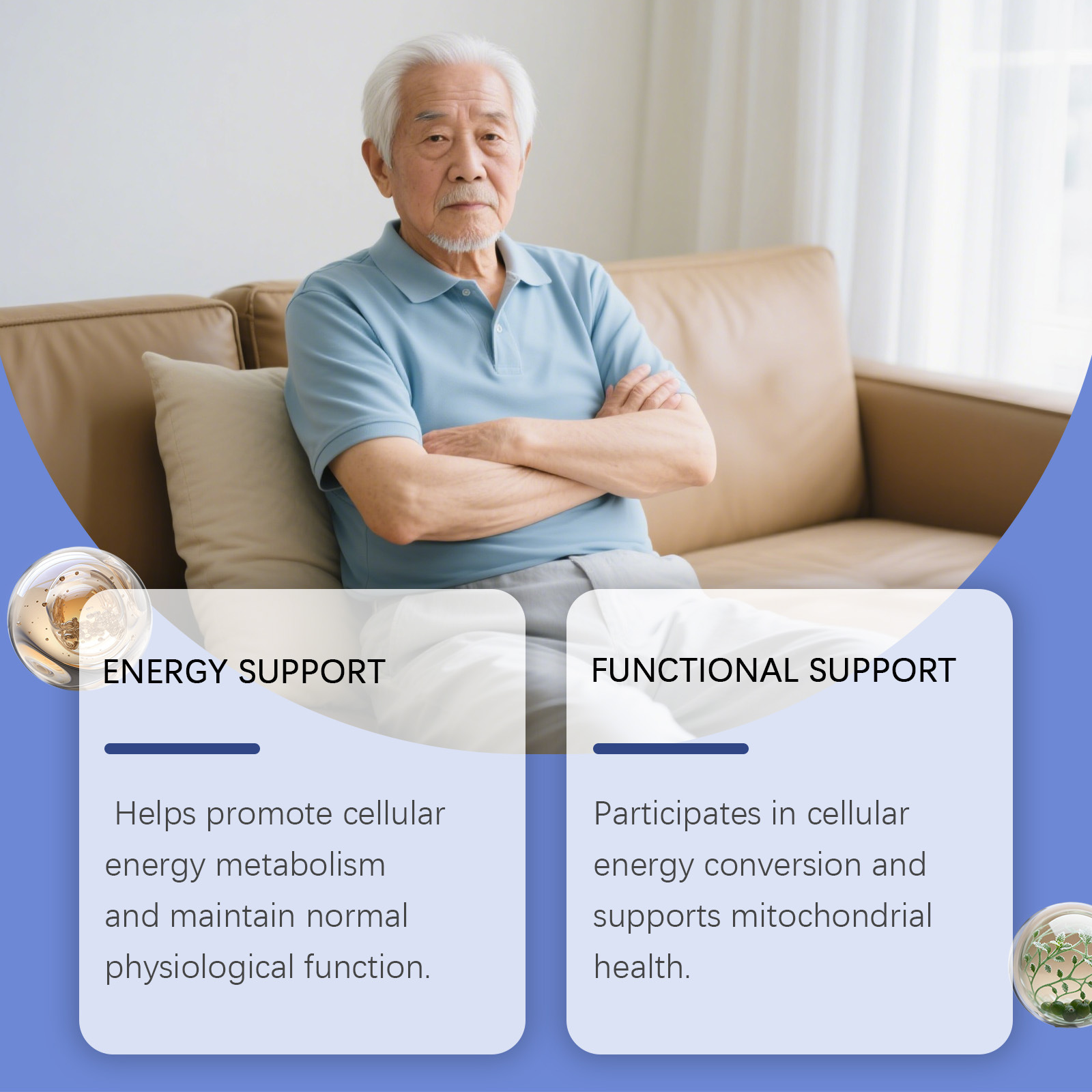활력 증진 드롭스는 신진대사를 촉진하고, 집중력을 향상 - Nutrition Physical Fitness 리뷰 및 가격