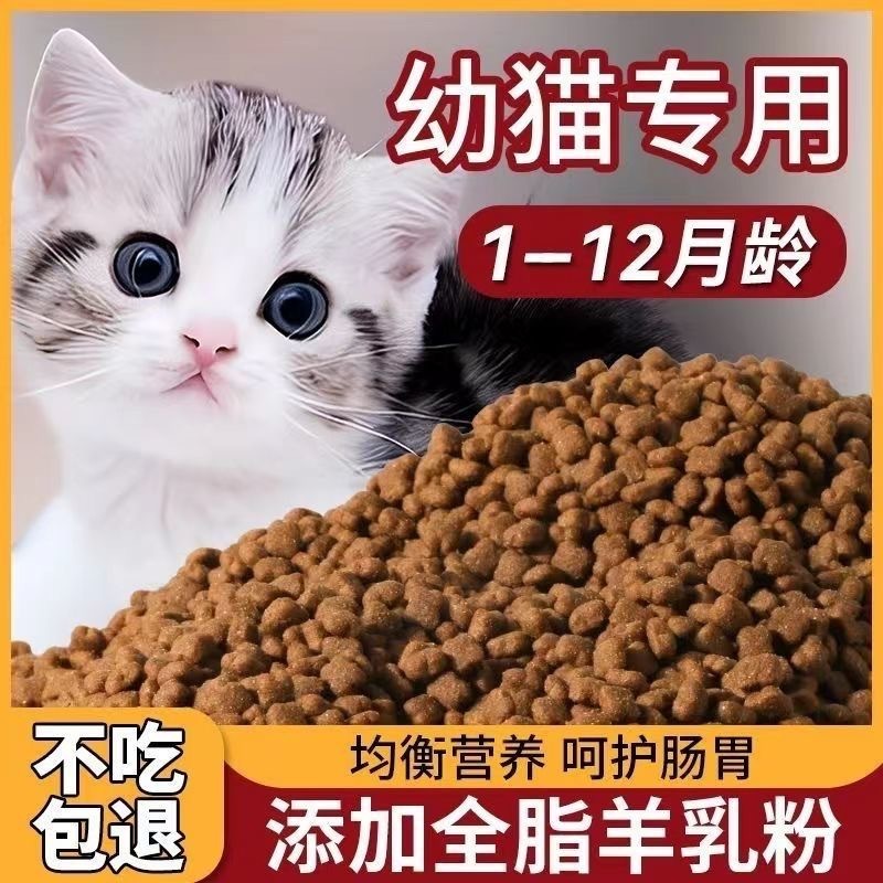 신선한 고기 새끼 고양이 사료 1~12개월 새끼 고양이 - Nutrition Physical Fitness 리뷰 및 가격